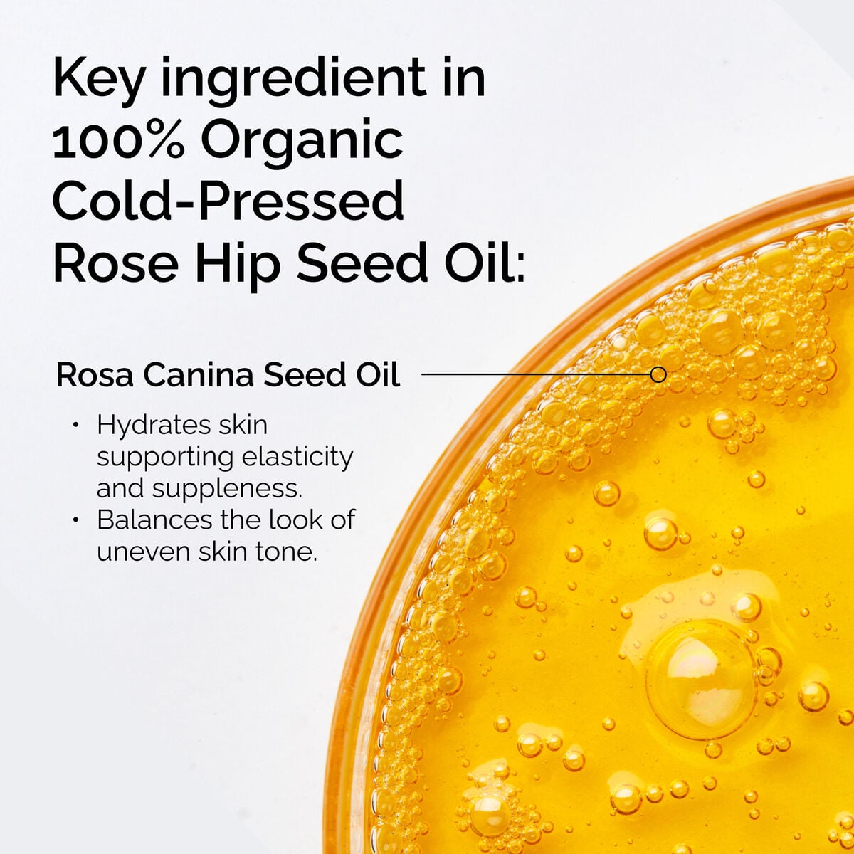 100-organic-cold-pressed-rose-hip-seed-oil-o8 FY25-D41247-ORD-Web-PDP-100-Rose-Hip-Oil-1x1-EN-2.jpg