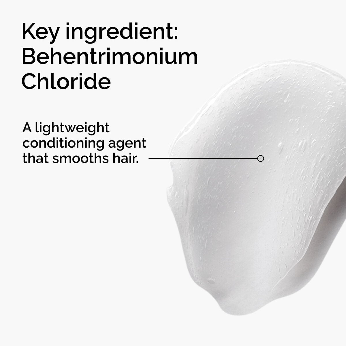 behentrimonium-chloride-2-conditioner-n8 FY25-D41247-ORD-Web-PDP-BTC-1x1-EN-2a.jpg
