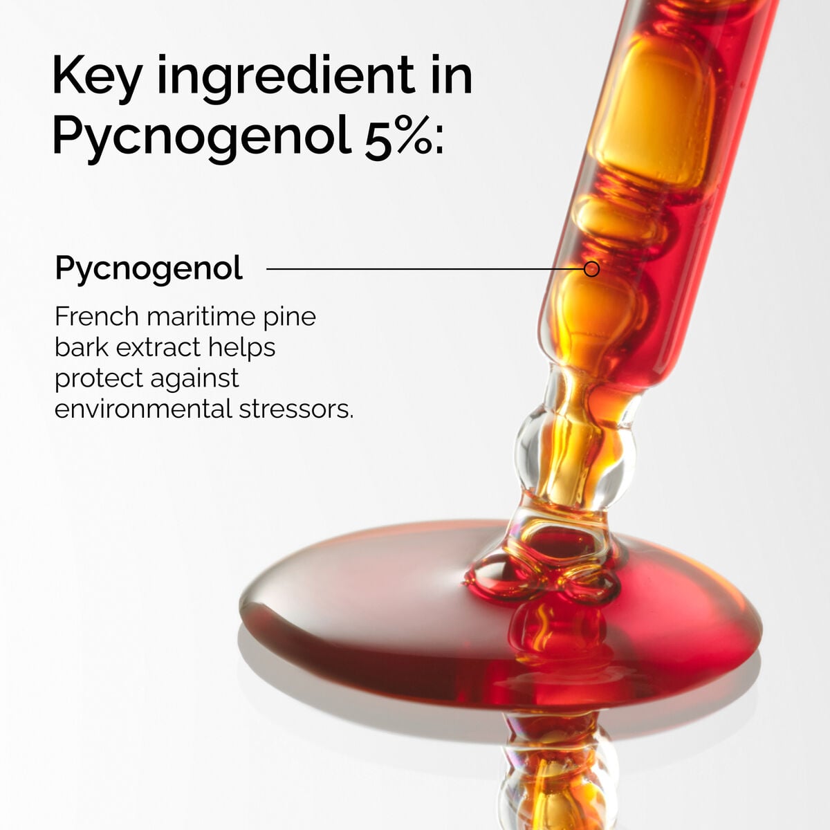 pycnogenol-5-w8 FY25-D41247-ORD-Web-PDP-Pyc-5pct-1x1-EN-2a.jpg