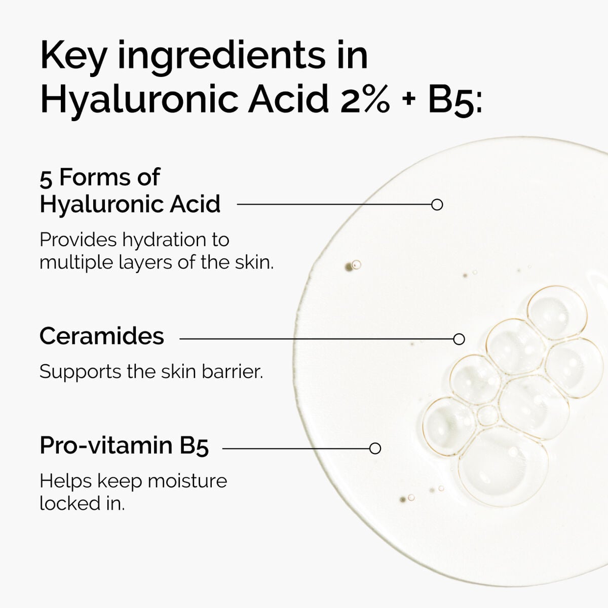hyaluronic-acid-2-b5-with-ceramides-a9 ord-hyaluronic-acid-2pct-b5-hydrating-serum-ingredients-graphic.jpg
