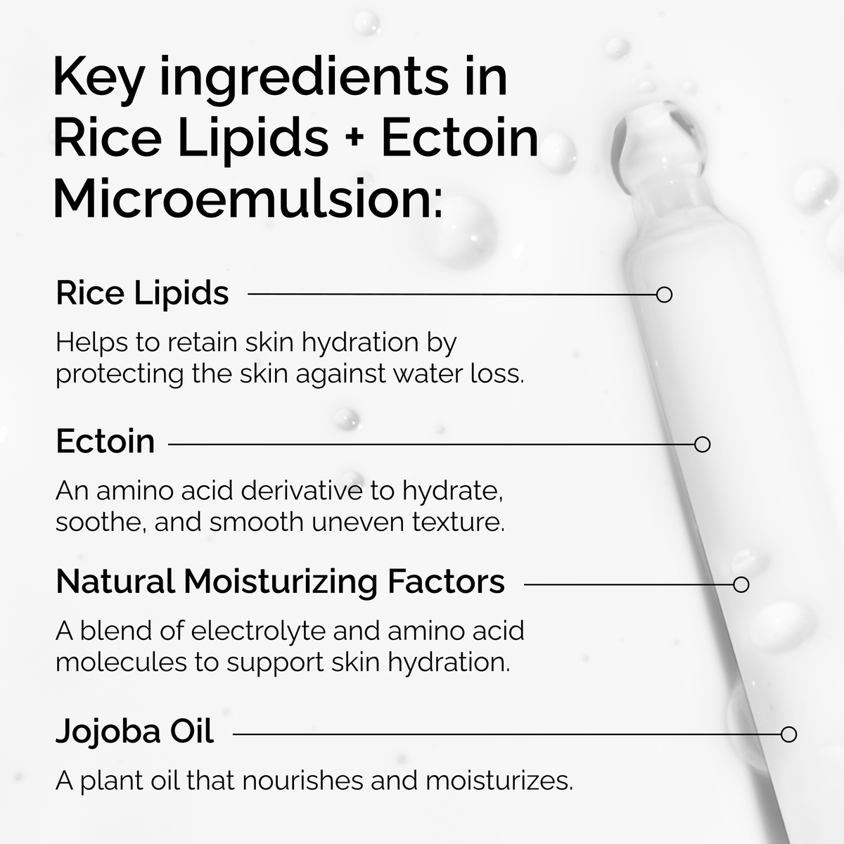 rice-lipids-ectoin-microemulsion-b1 ord-rice-lipids-ectoin-microemulsion-key-ingredients.png