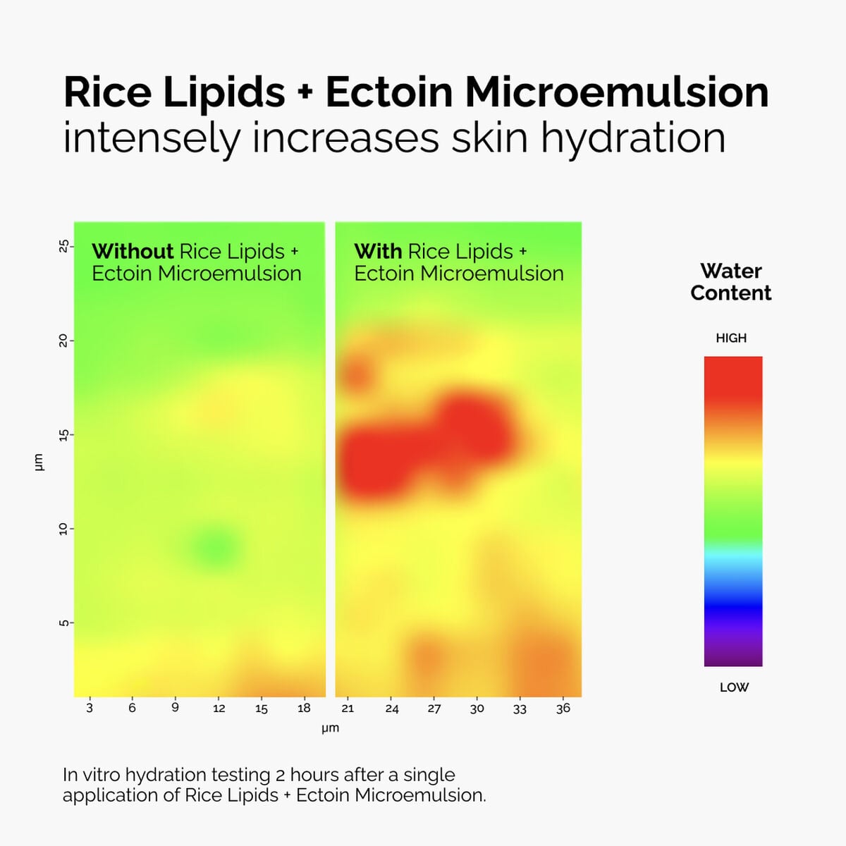 rice-lipids-ectoin-microemulsion-b1 ord-rice-lipids-ectoin-microemulsion-thermal-before-after.jpg